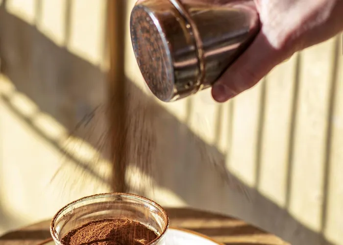 מלון Mercure Paris Airport 4*