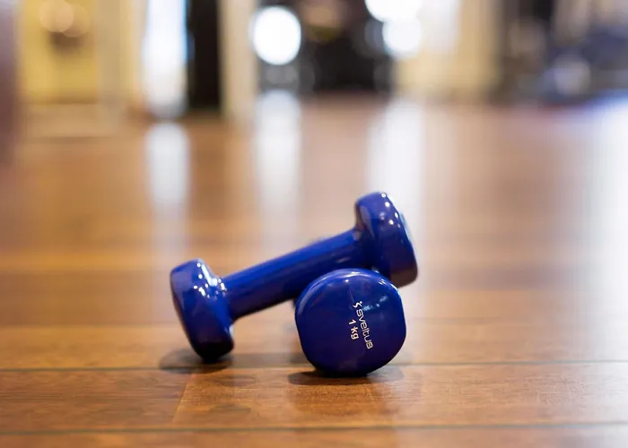 Mercure Paris Airport מלון 4*